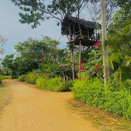 Lucky Villa Sigiriya Exterior foto