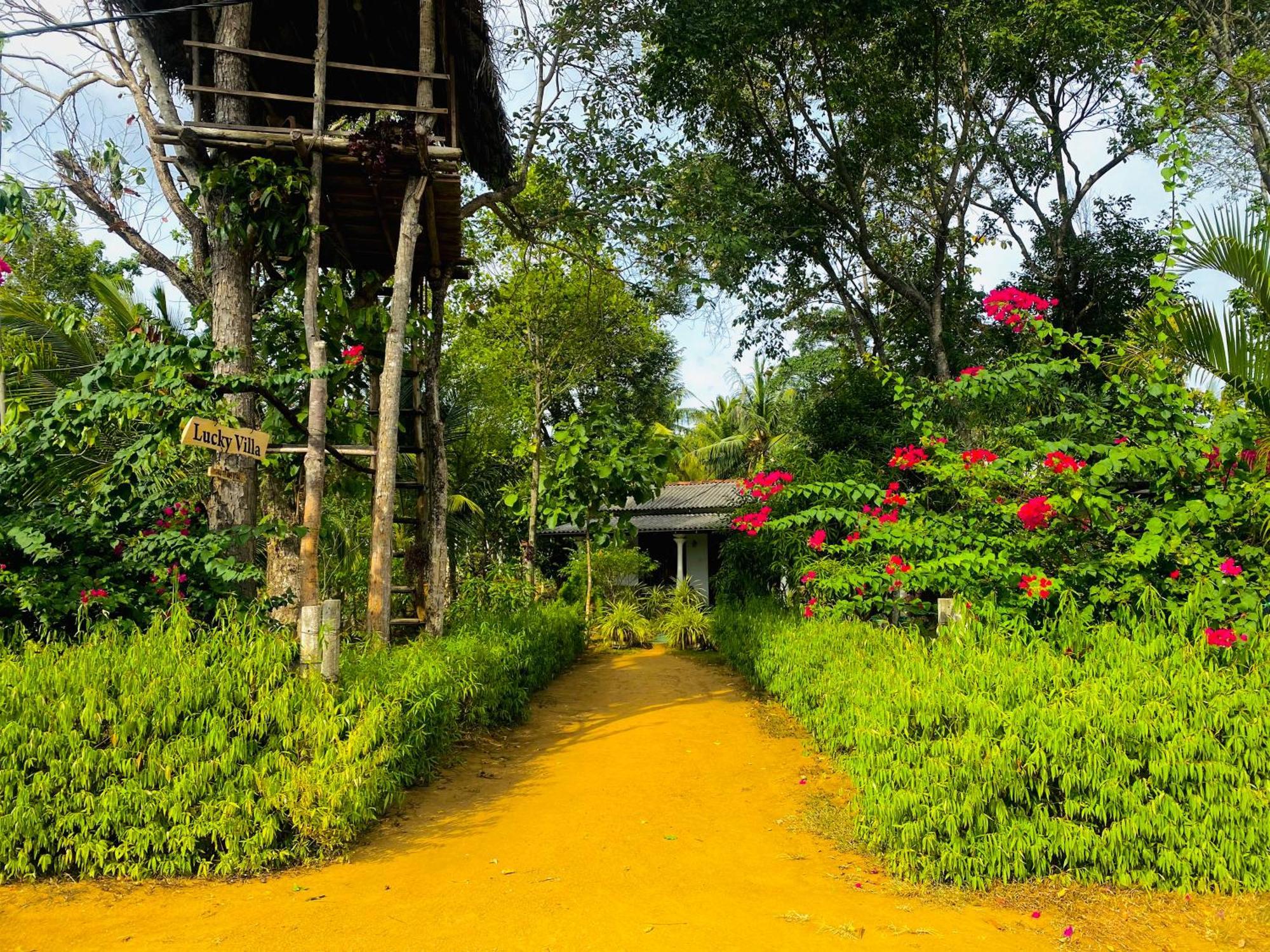 Lucky Villa Sigiriya Exterior foto